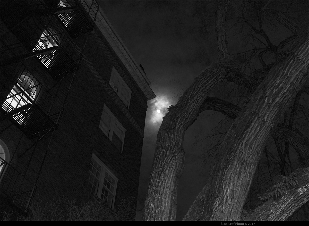 Tree and Moon with Building
