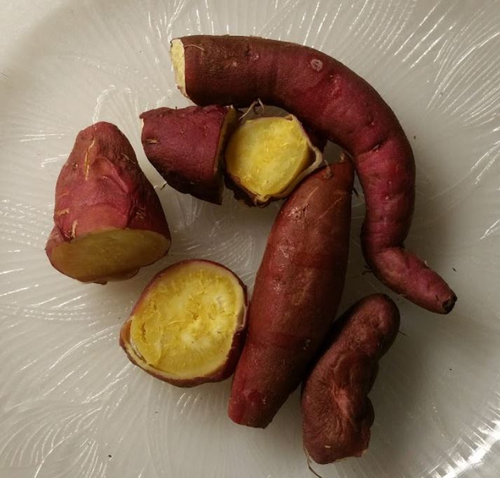 Most astounding discovery today! (screen grab from Google Photos)