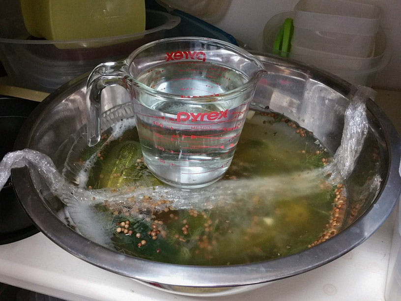 Pickles in Progress