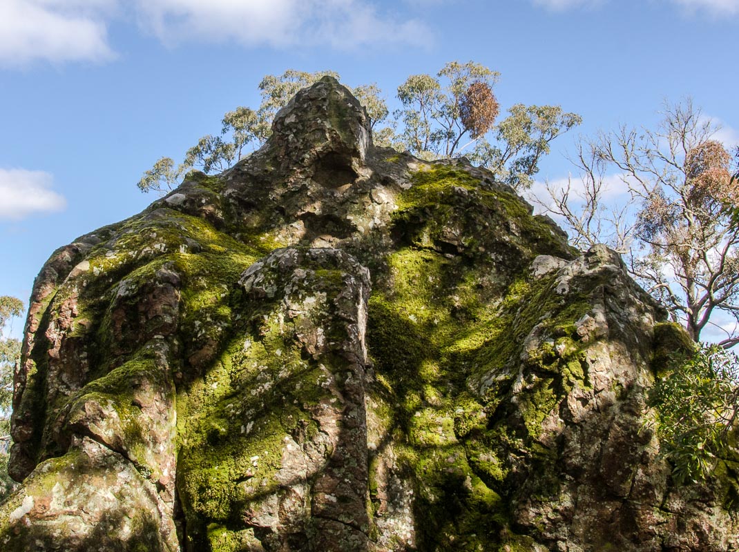 _DSC2655.jpg