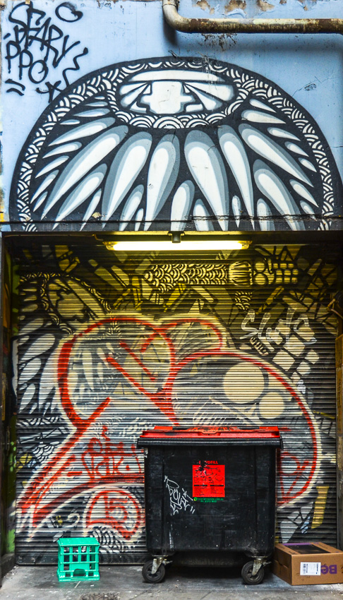 DSC_4498.jpg