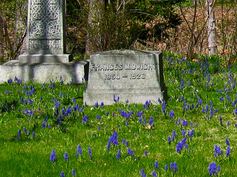 Spring Flowers in Lake Forest Cemetery 0084