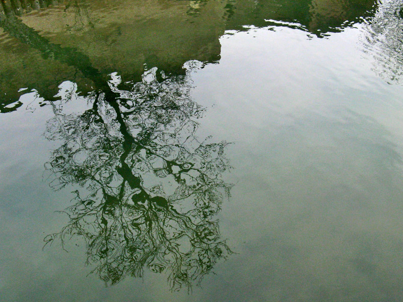 Reflections in the Moat<br />8983