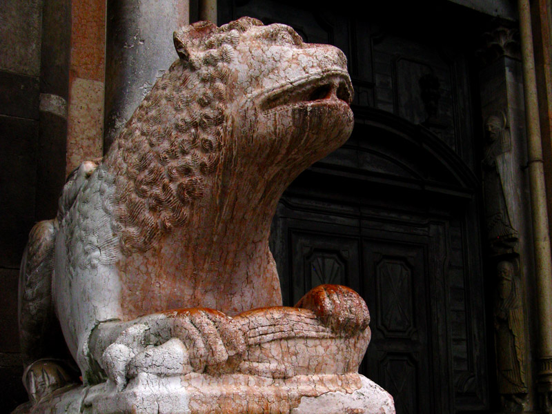 Lion Holding Fish9225