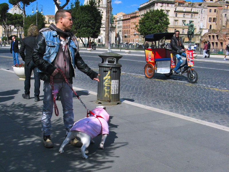 Street Scene with Dog7108