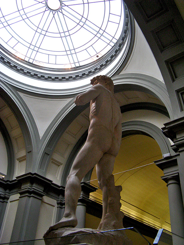 Michelangelo's David0890