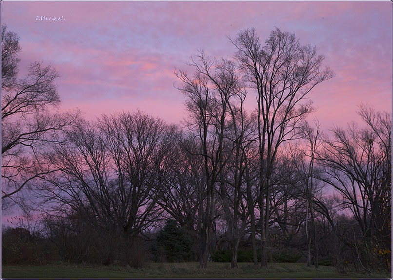 November Sunset 2017