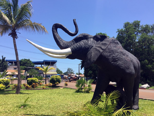 Elephant in front of the Prima Center, Conakry