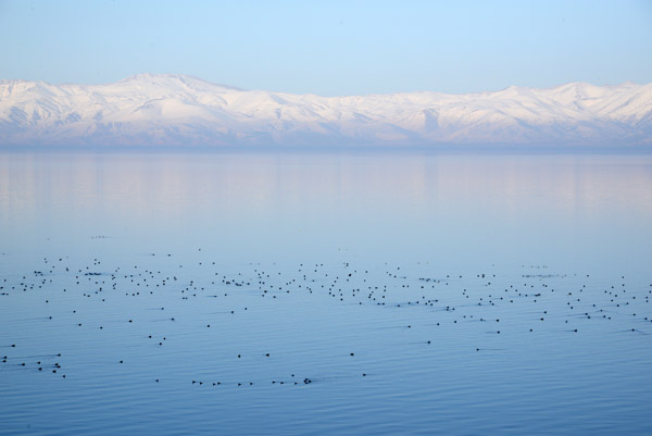 Armenia Feb16 1572.jpg
