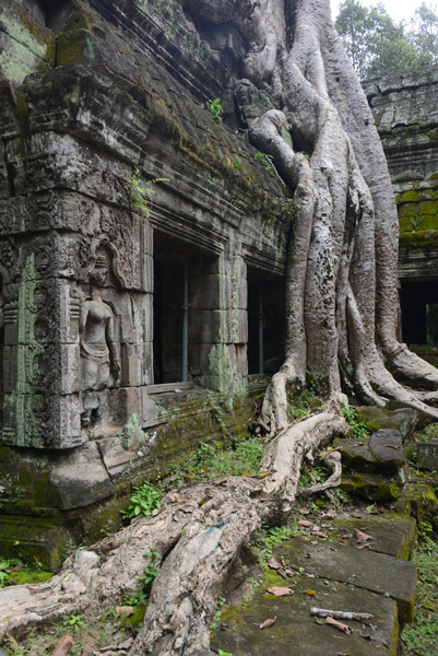 Cambodia Nov17 1140.jpg