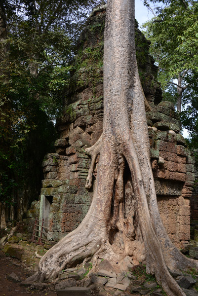Cambodia Nov17 1179.jpg