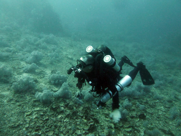 ThailandDive Nov17 0050.jpg