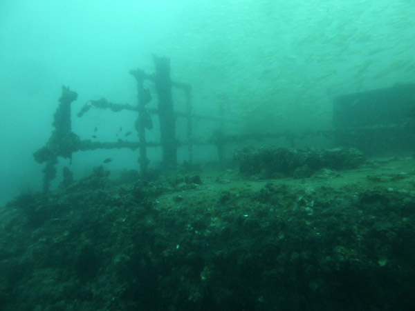ThailandDive Nov17 0396.jpg