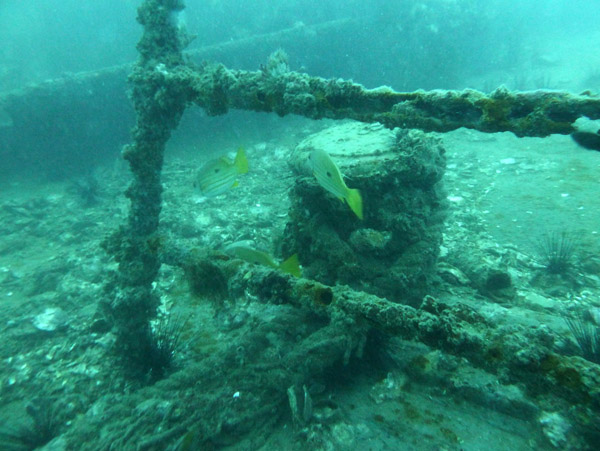 ThailandDive Nov17 0417.jpg