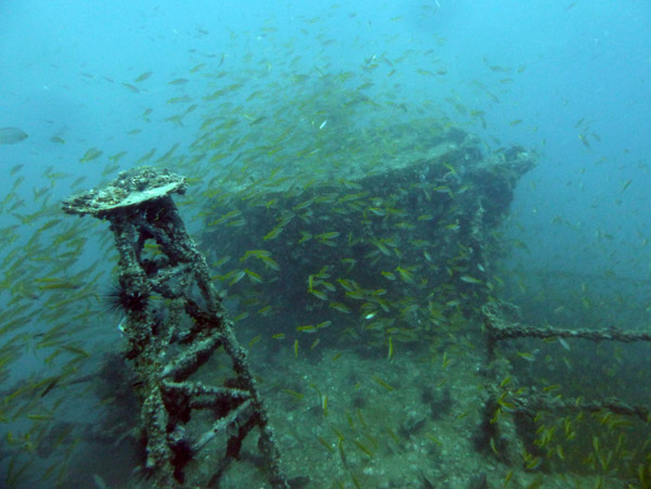 ThailandDive Nov17 0444.jpg