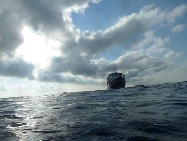 ThailandDive Nov17 0448.jpg