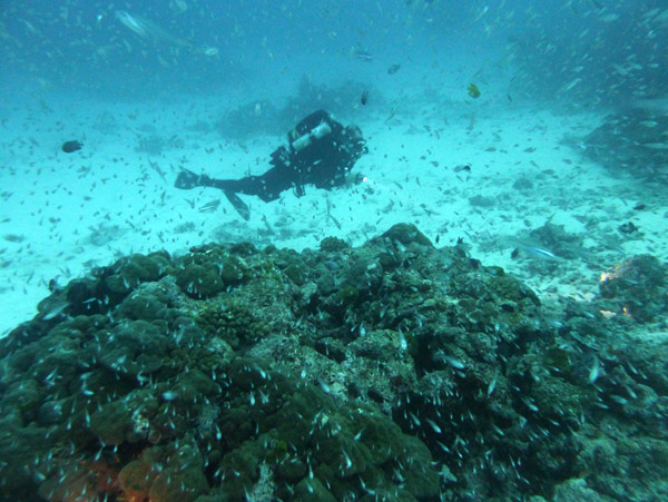 ThailandDive Nov17 0914.jpg