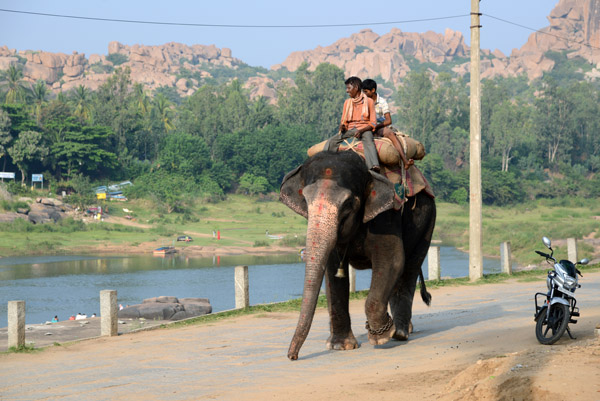 Elephant with mahout along the river, Hampi Bazar