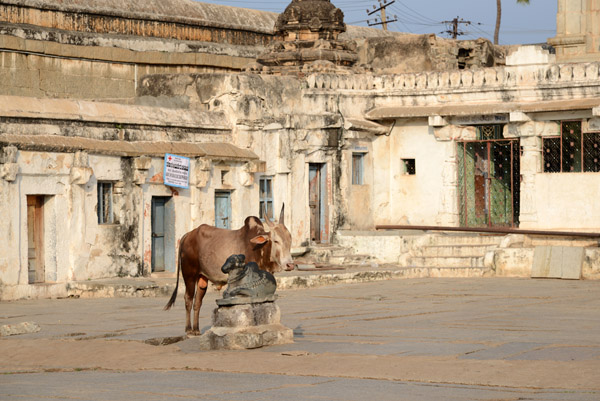 Karnataka Nov14 0773.jpg