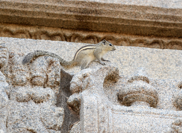 Karnataka Nov14 0269.jpg