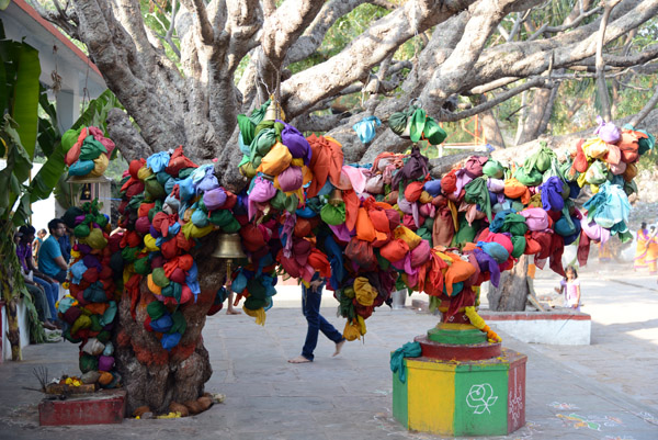 Shrine tree covered with hanging sacks of colorful cloth 