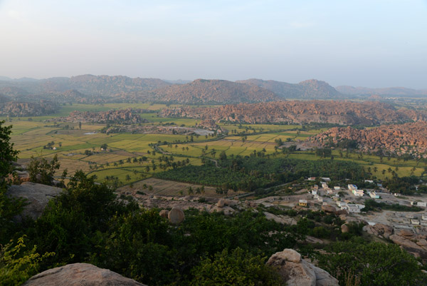 Rice paddies and boulder fields, late afternoon on Anjaneya Hill