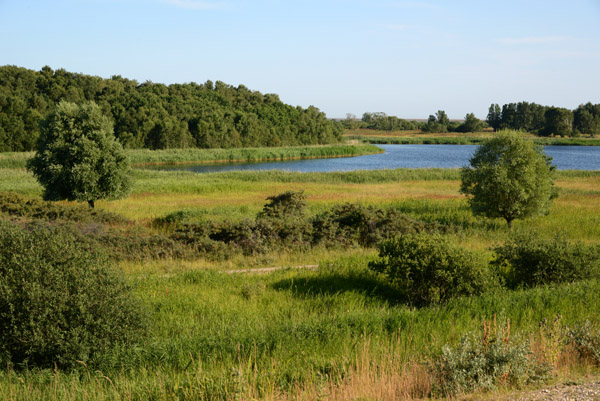 Protected nature reserve on Vestmager