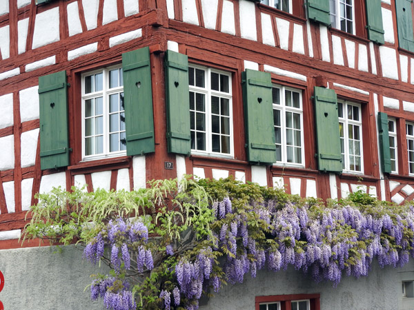 Half-Timbered house with lilacs, Seestrasse 17, Berlingen