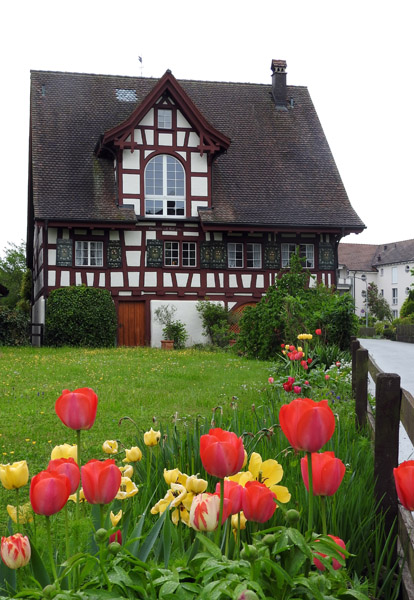 Fachwerkhaus with Tulips, Heimgartenstrasse, Ermatingen