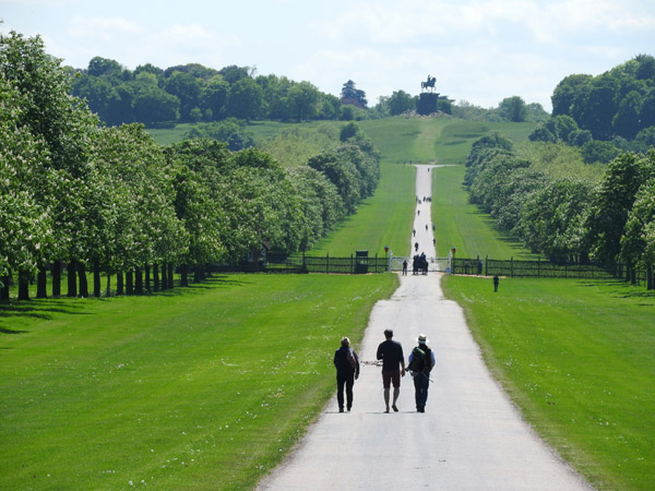 The Long Walk, Windsor Great Park