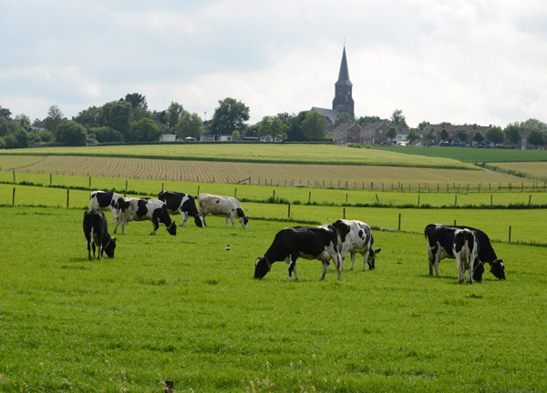 Sint-Martinuskerk, Vijlen, Limburg