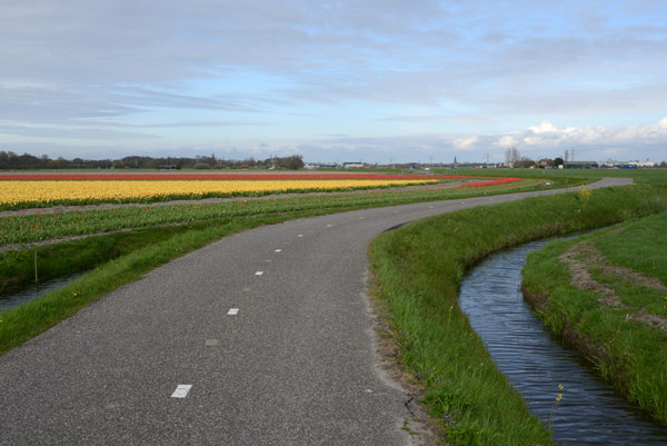 Eerste Elsgeesterweg, Rijsburg, Zuid Holland