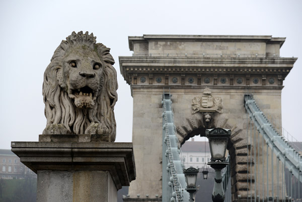 One of the lions at the Chain Bridge, Budapest