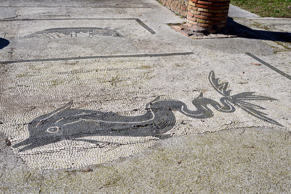 Dolphin Mosaic - Forum of the Corporations, Ostia Antica
