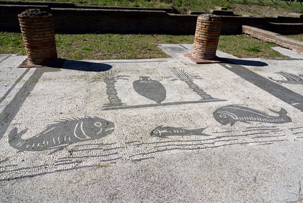 Fish and Palm Trees Mosaic - Piazzale delle Corporazioni - Forum of the Corporations