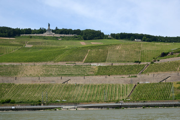 Rhine Ferry, Rdesheim