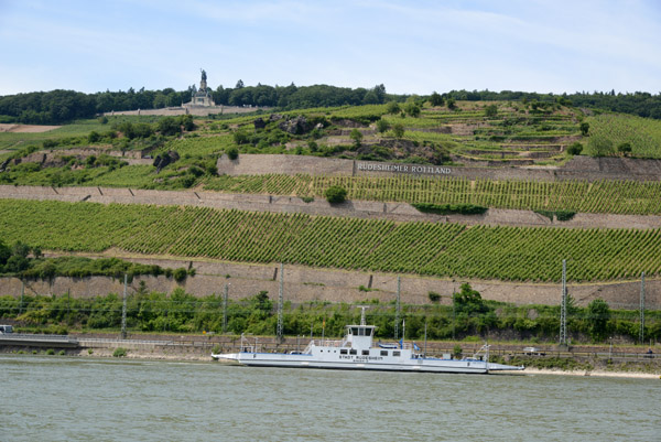 Rhine Ferry, Rdesheim