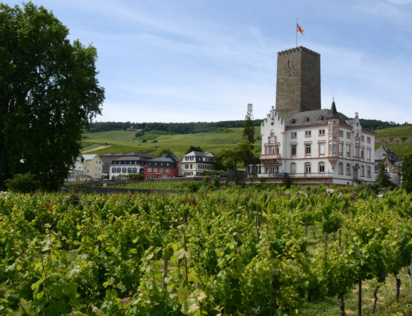 Boosenburg (Oberburg), Rdesheim