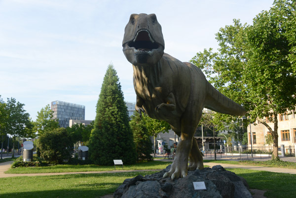 Tyrannosaurus, Naturmuseum Senckenberg, Frankfurt