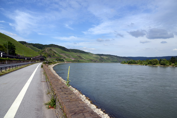 Rheinradweg at the big bend in the river between Spay and Boppard