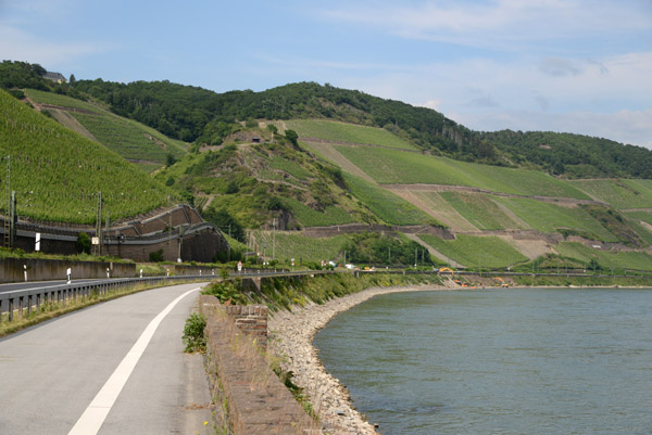 Rheinradweg at the big bend in the river between Spay and Boppard