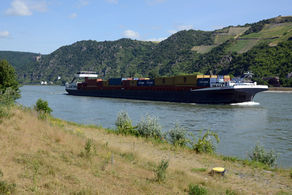 Container Ship Acropolis on the Rhine River