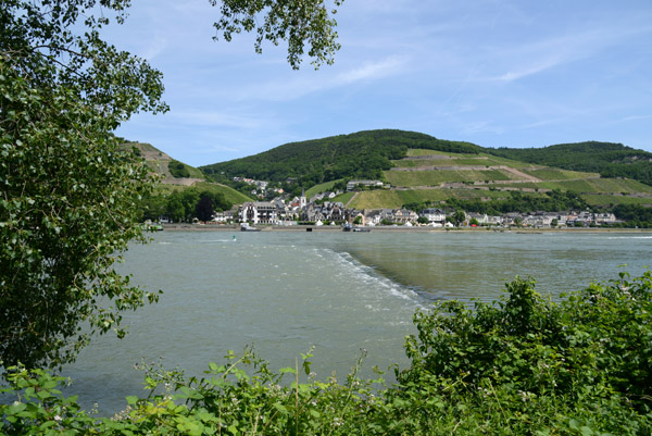 The Rhine across from Assmannshausen