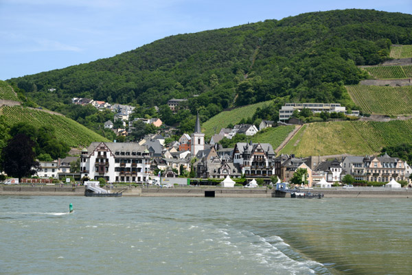 There are several small dams evenly spaced on the Left Bank of the Rhine across from Assmannshausen
