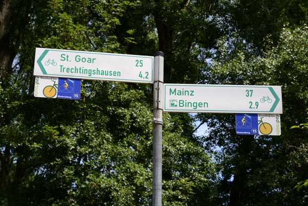 My last stop on the Rheinradweg in Rheinland-Pfalz, Bingen