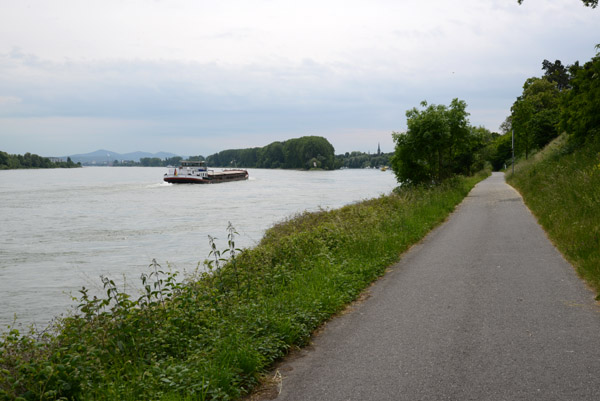  Rheinradweg - southbound on the left bank bicycle path