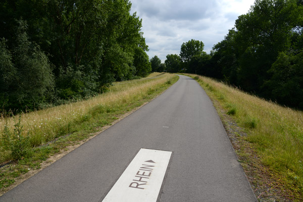 Cycle path to the Rhine at Bonn