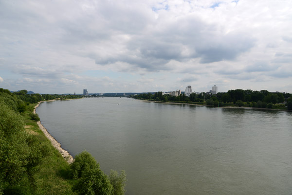 View of the Rhine from the Right Bank at the Friedrich-Ebert-Brcke