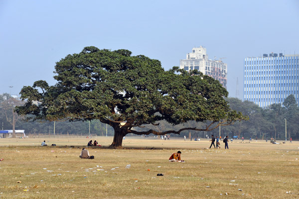 Kolkata Jan16 174.jpg