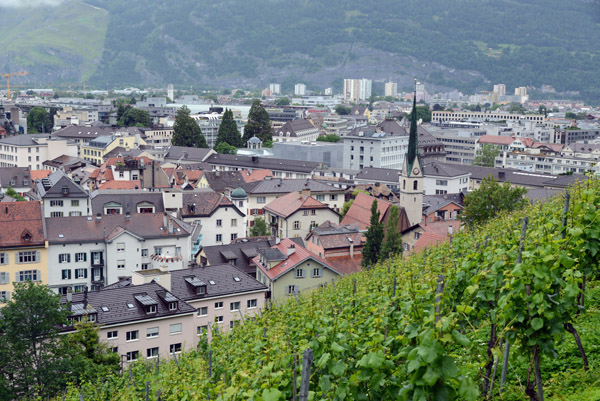 Vineyards on the hillside above the old city, Chur